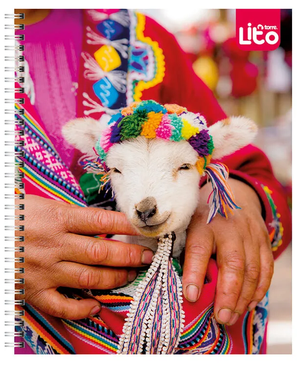 Cuaderno Universitario Lito