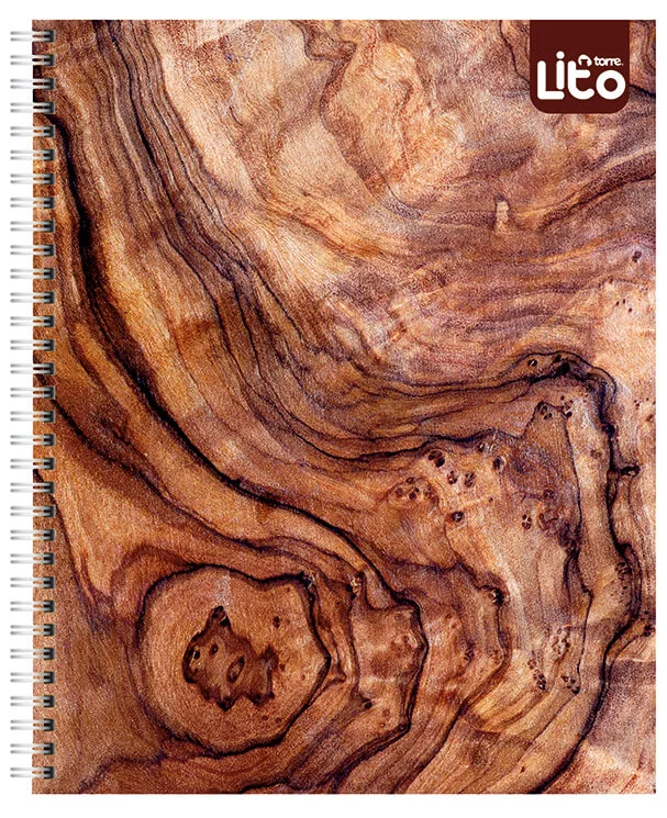 Cuaderno Universitario Lito
