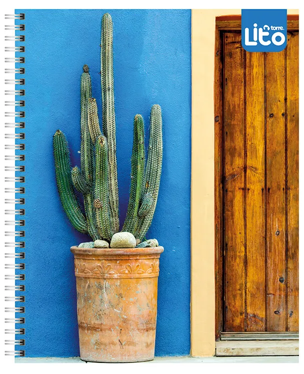 Cuaderno Universitario Lito