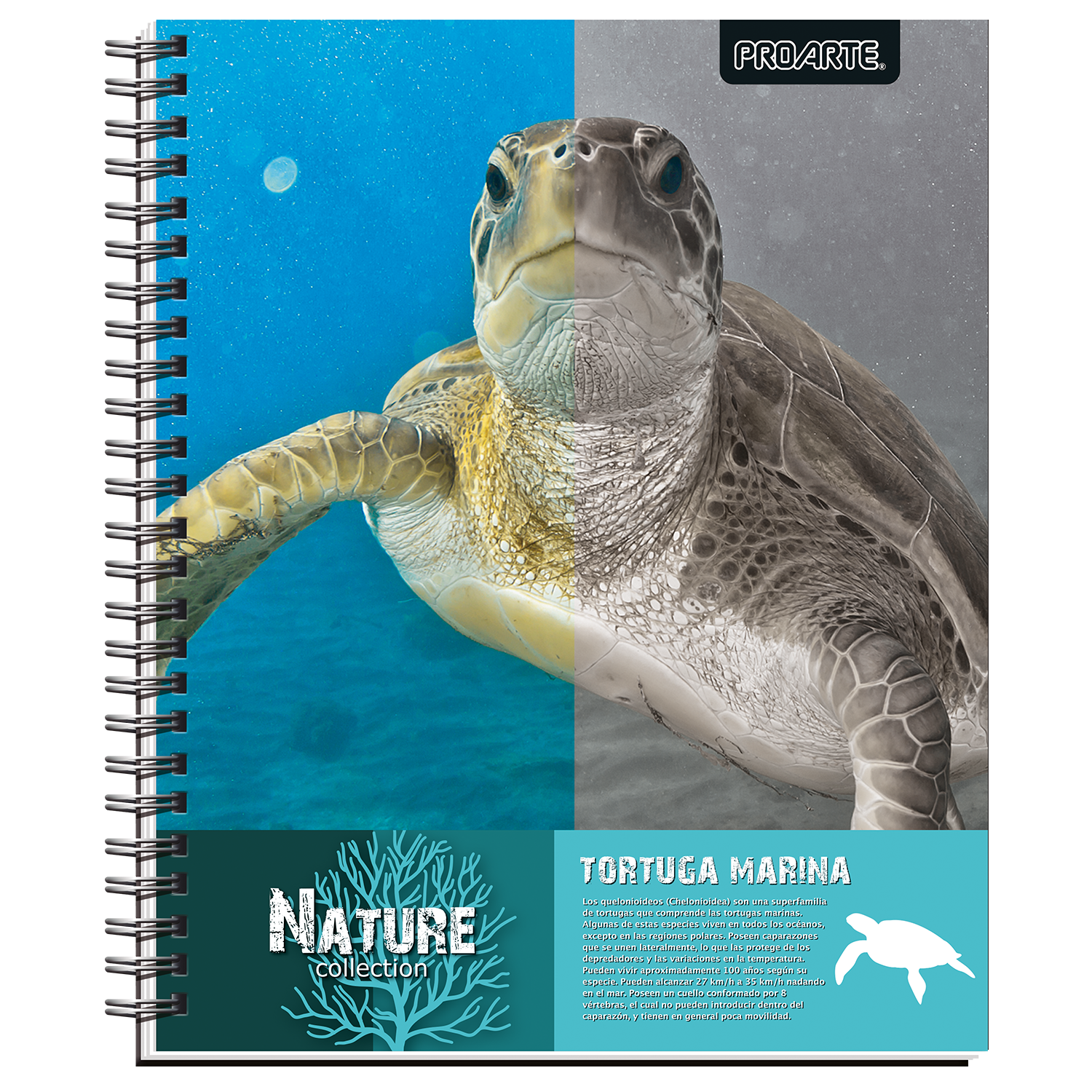 Cuaderno Universitario Nature