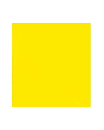 Pliego Cartulina 55x77 Amarill